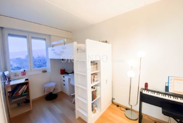 Bel appartement duplex de 5 pièces vue sur le Mont Blanc