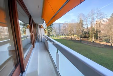 Appartement de 3 pièces rénové