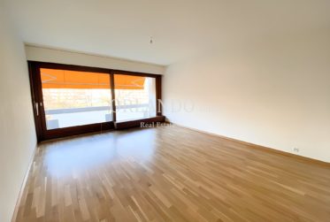 Appartement de 3 pièces rénové
