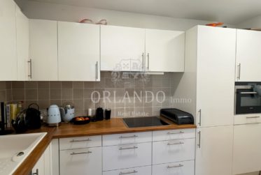 Appartement rénové avec charme à Puplinge, Genève