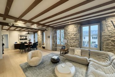 Appartement rénové avec charme à Puplinge, Genève