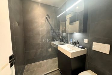 Appartement rénové avec charme à Puplinge, Genève