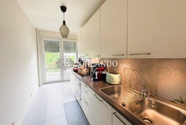 Bel appartement de 5,5 pièces – Quartier de Malagnou
