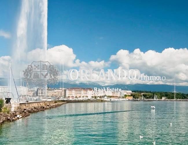 À vendre : Studio de 44 m² – Proche des HUG