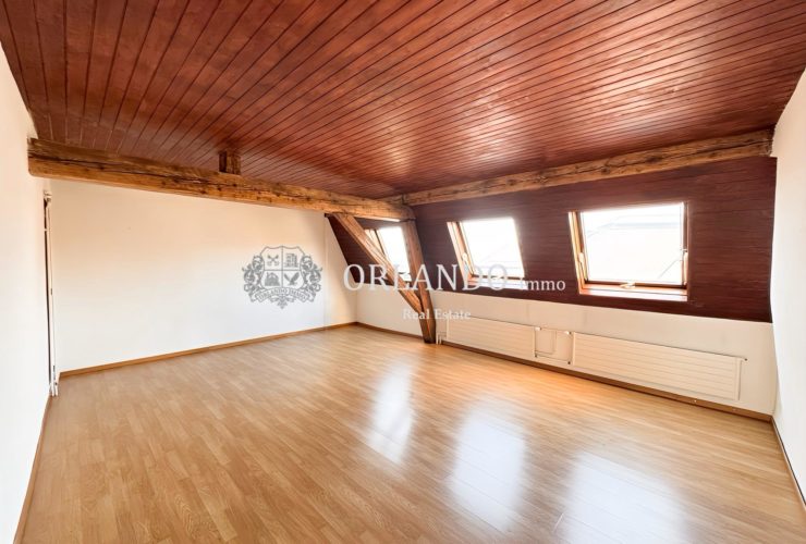 3 Rooms Appartement, Attique
