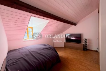 Bel appartement de 3 pièces en antique dans Carouge