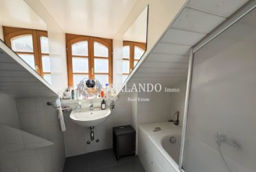 Bel appartement de 3 pièces en antique dans Carouge