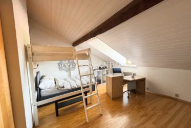 Bel appartement de 3 pièces en antique dans Carouge