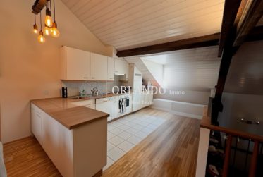 Bel appartement de 3 pièces en antique dans Carouge