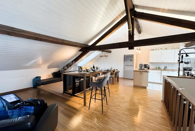 Bel appartement de 3 pièces en antique dans Carouge