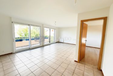 Charmant duplex de 3.5 pièces à Meyrin