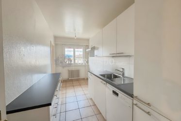 Bel appartement lumineux de 5 pièces Secteur Grand-Saconnex
