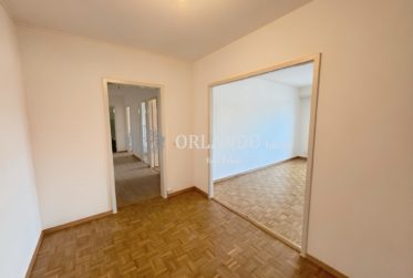 Bel appartement lumineux de 5 pièces Secteur Grand-Saconnex