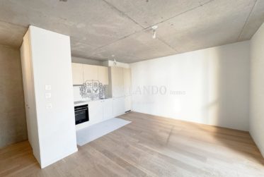 Bel appartement neuf de 3 pièces – Secteur Carouge
