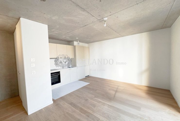 Bel appartement neuf de 3 pièces – Secteur Carouge