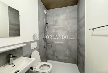 Bel appartement neuf de 5 pièces - Secteur Carouge