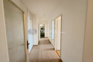 Bel appartement lumineux de 5 pièces Secteur Grand-Saconnex