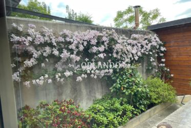 Charmante maison familiale sur trois niveaux avec jardin