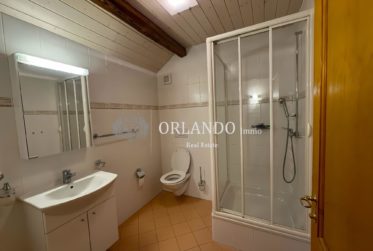 Charmante maison familiale sur trois niveaux avec jardin