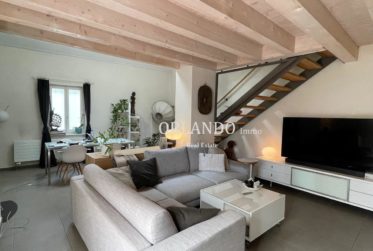 Reprise de bail : Maison familiale avec jardin – Emplacement privilégié à Meyrin