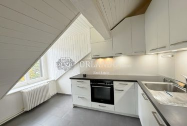 Reprise de bail Bel appartement de 5 pièces en attique avec poutres apparentes