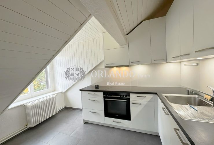 Reprise de bail Bel appartement de 5 pièces en attique avec poutres apparentes