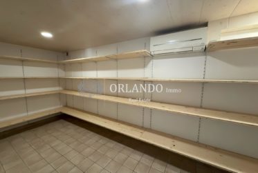 Charmante maison familiale sur trois niveaux avec jardin