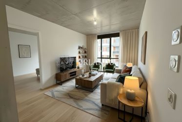 Bel appartement neuf de 5 pièces ( pignon ) 2 étage sans balcon - Secteur Carouge