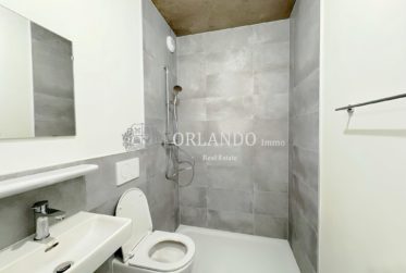 Bel appartement neuf de 5 pièces 1 étage sans balcon - Secteur Carouge