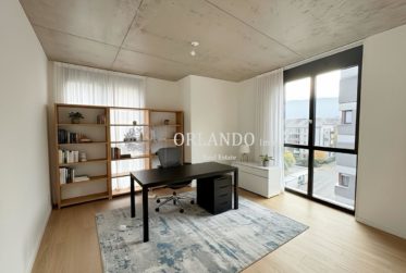 Bel appartement neuf de 5 pièces ( pignon )1 étage sans balcon - Secteur Carouge