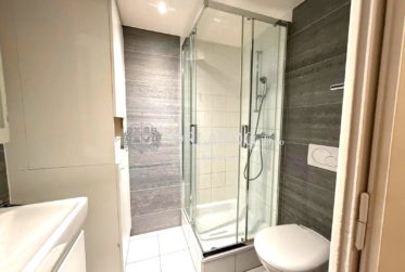 Bel appartement meublé de 2,5 dans le Vieux Carouge