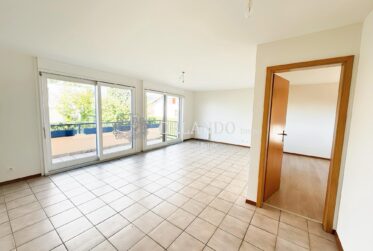 Charmant duplex de 3.5 pièces à Meyrin