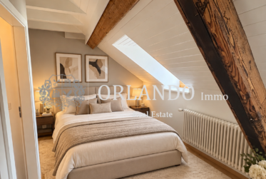 Bel appartement en duplex à Carouge