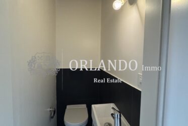 Bel appartement en duplex à Carouge